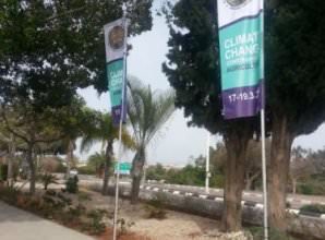 דיגלול לתערוכת חקלאות