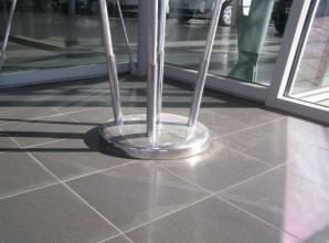 שושנת דגלים